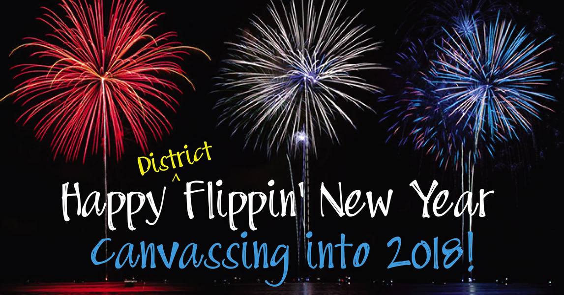 Happy Flippin' New Year Canvass Action Network