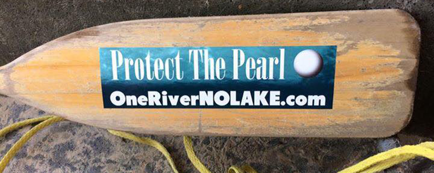 Protectthepearl