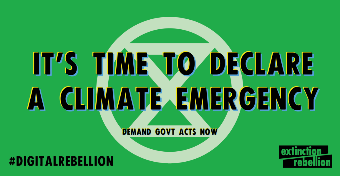 Declare a Climate Emergency NOW! Action Network