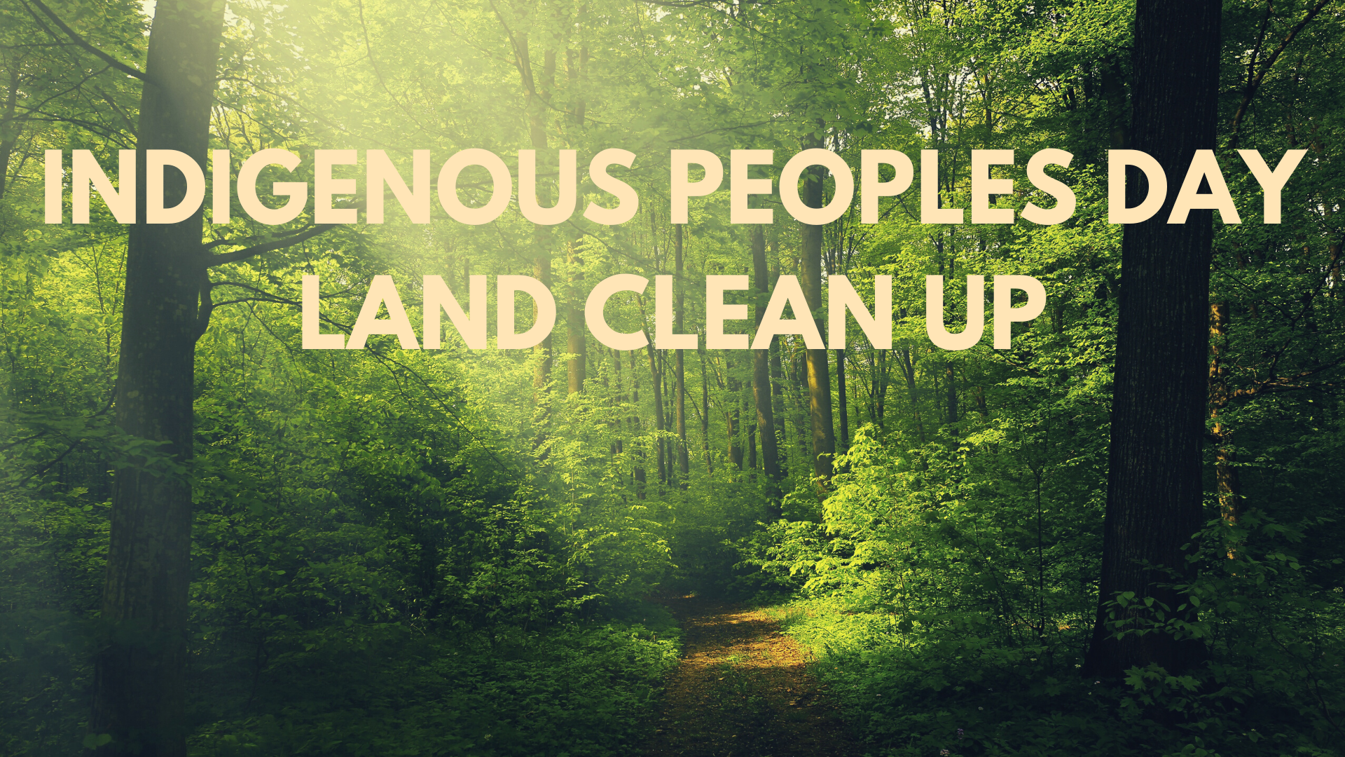 Ipd_land_clean_up