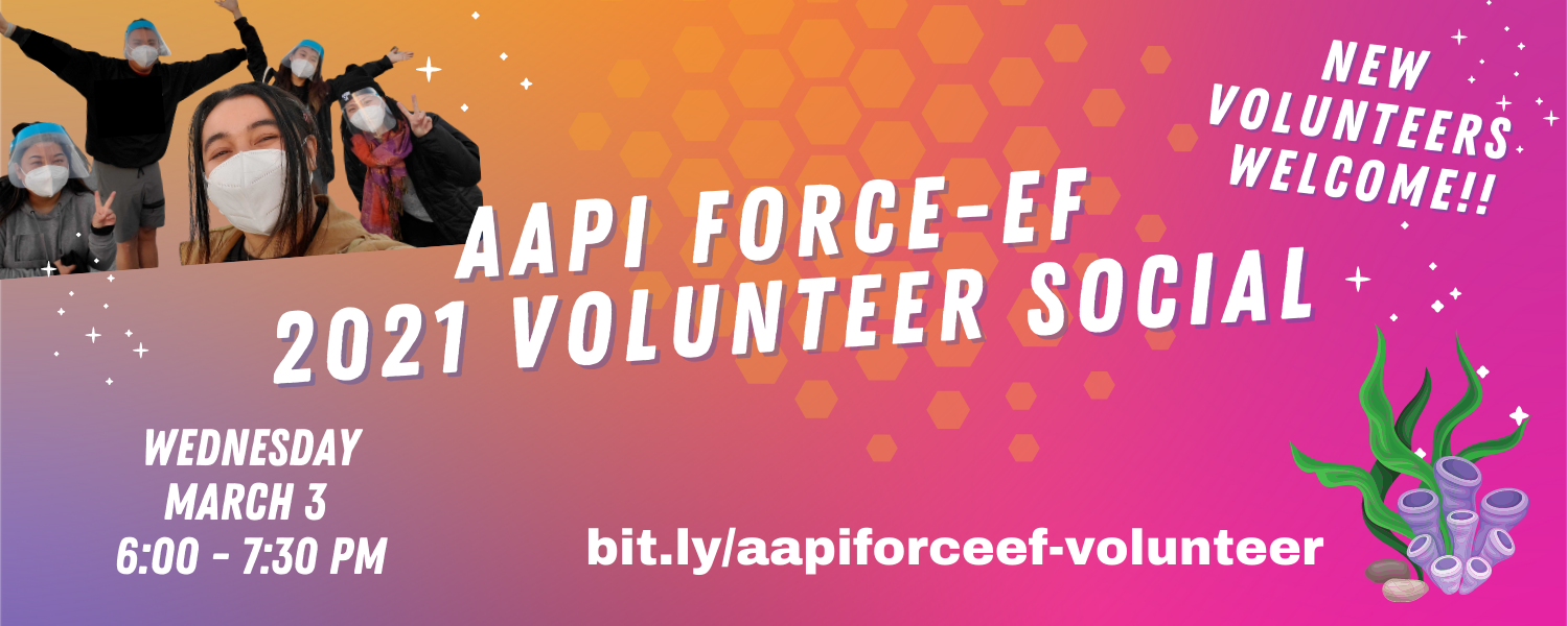 Volunteer Social 2021