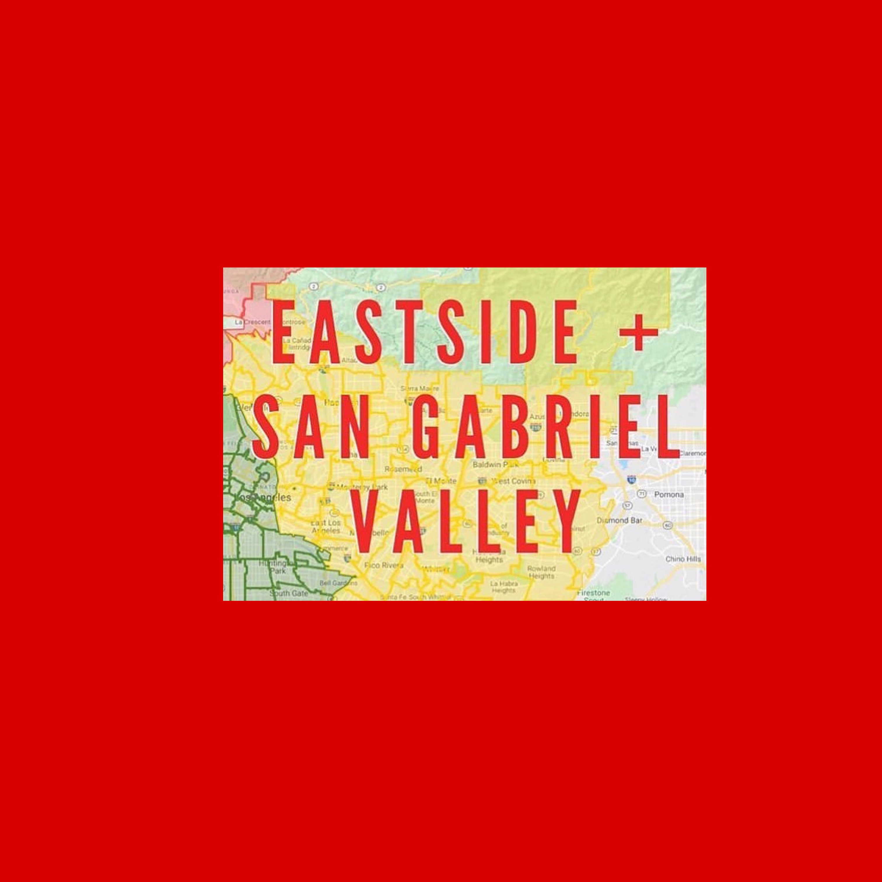Eastside SGV Branch Meeting June 2021 Reunion De Rama Junio