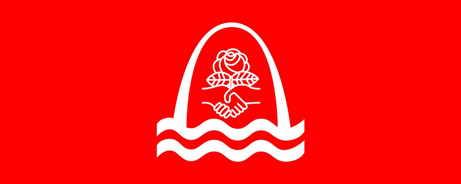 DSA Logo