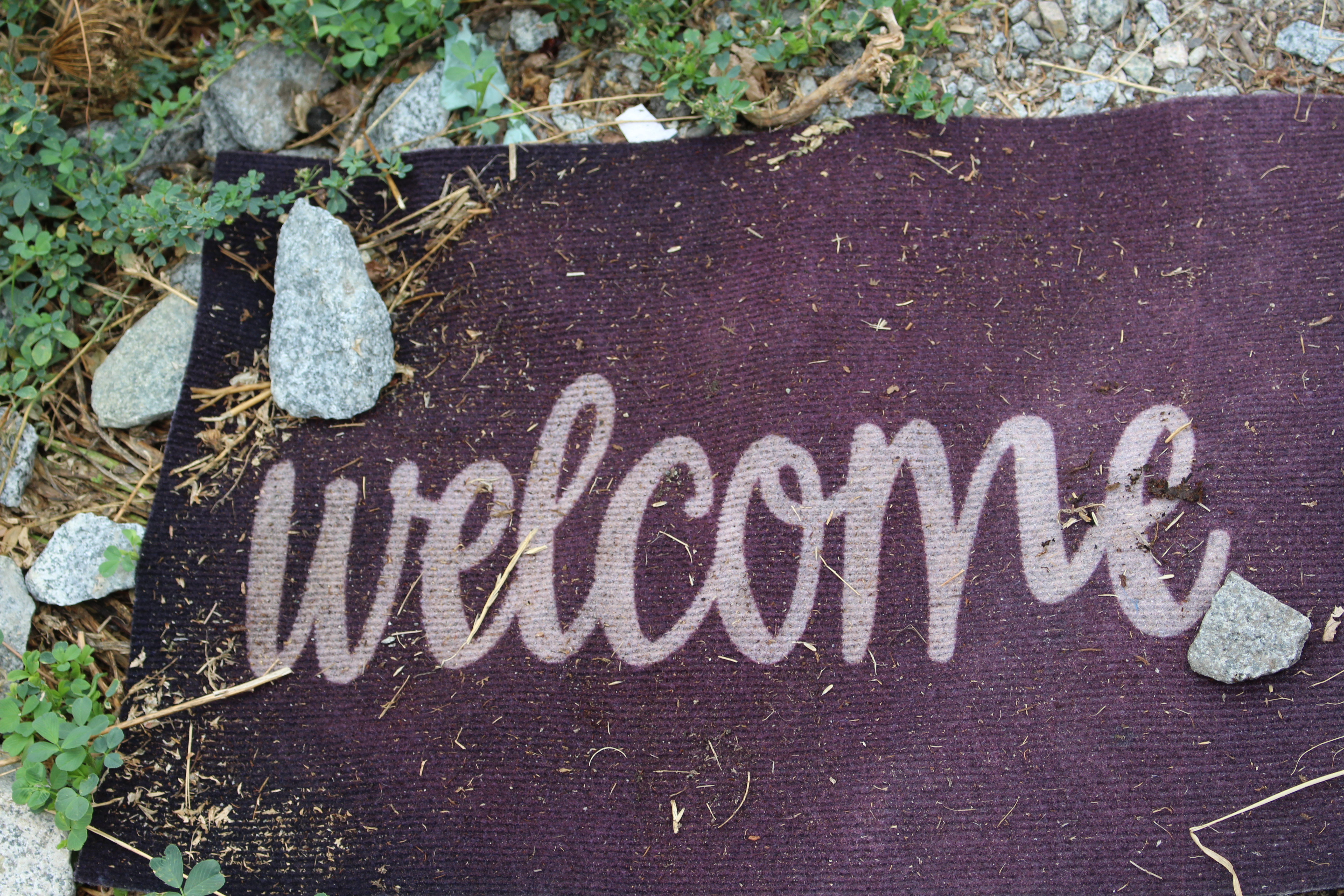 Welcome mat in the woods