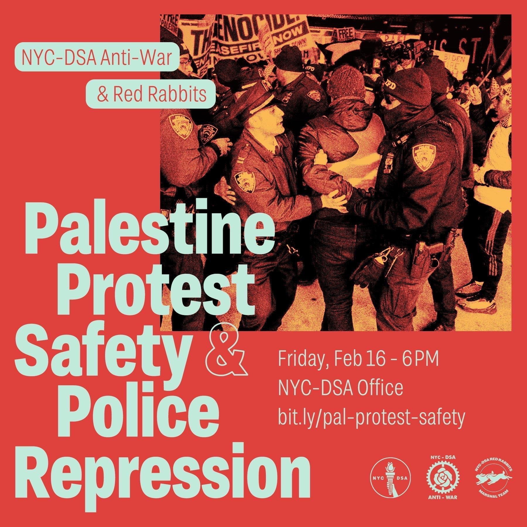 Palestine Solidarity Movement: Protest Safety & Police Repression ...