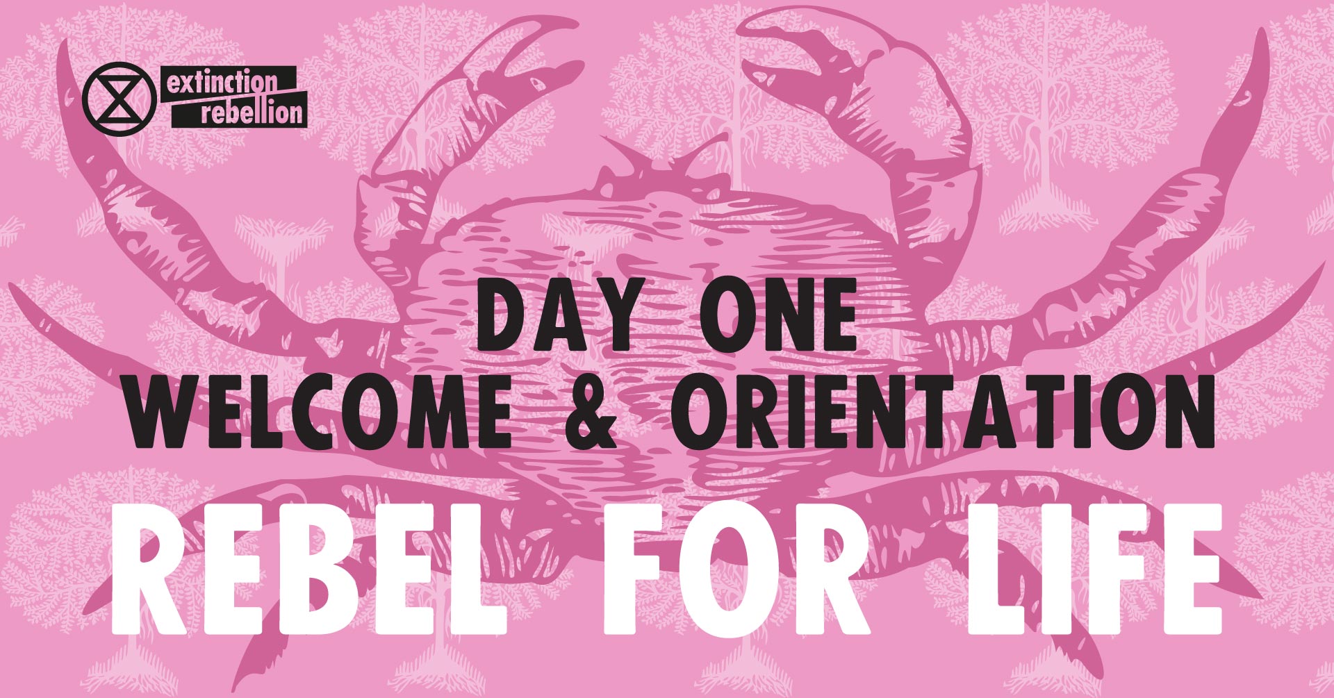 Day One: Welcome and Orientation