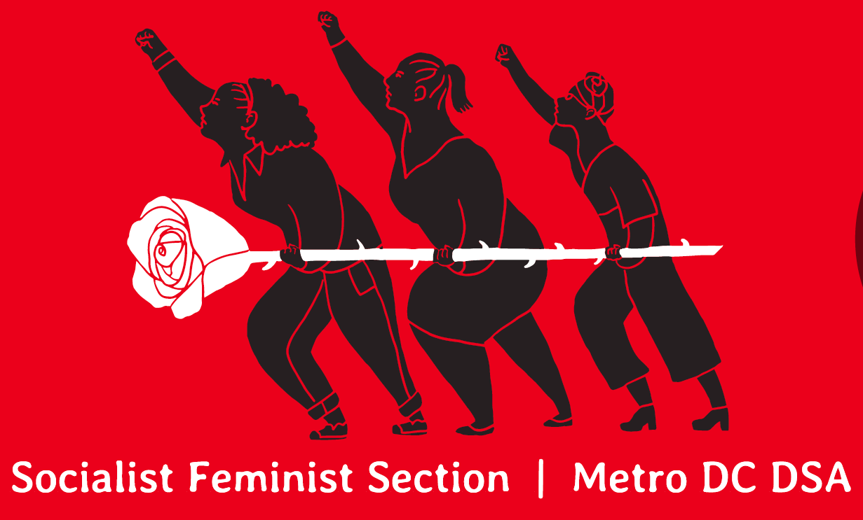 MDC DSA Socialist Feminist Section banner (women carrying a red rose like a battering ram with their fists raised in solidarity)