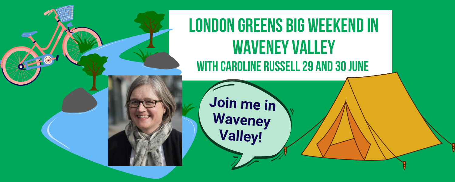 Banner for London Greens day out with pictures of Caroline and volunteers