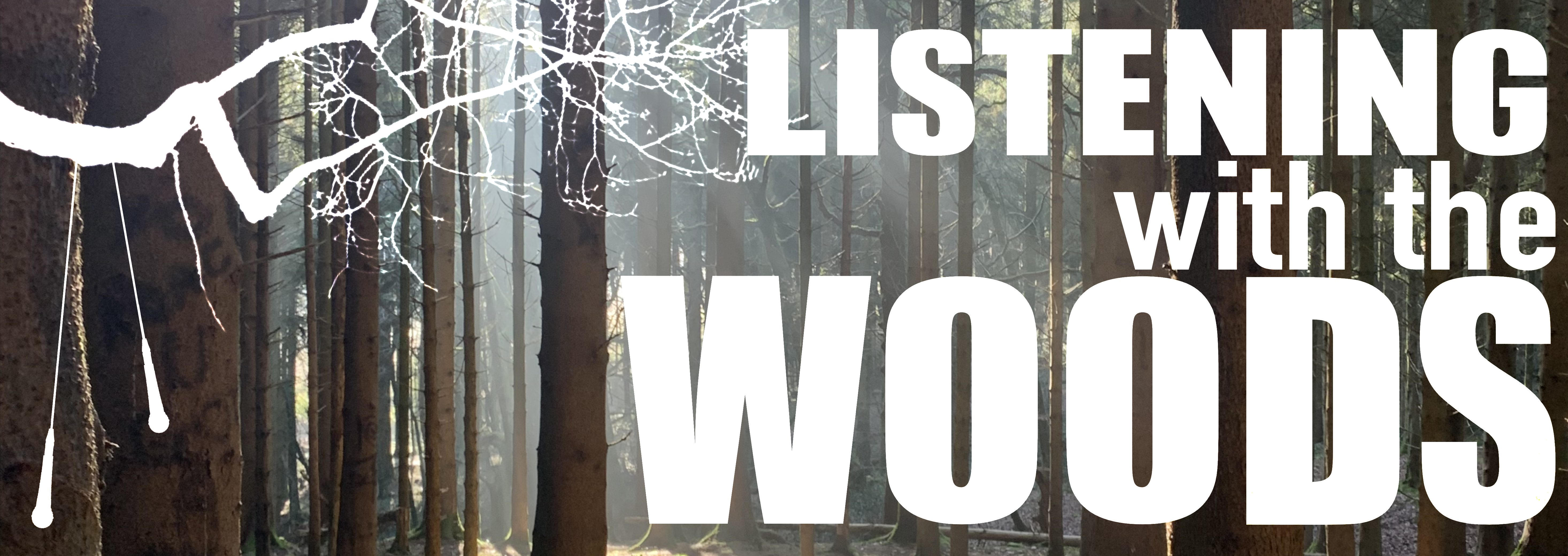 Listening With The Woods