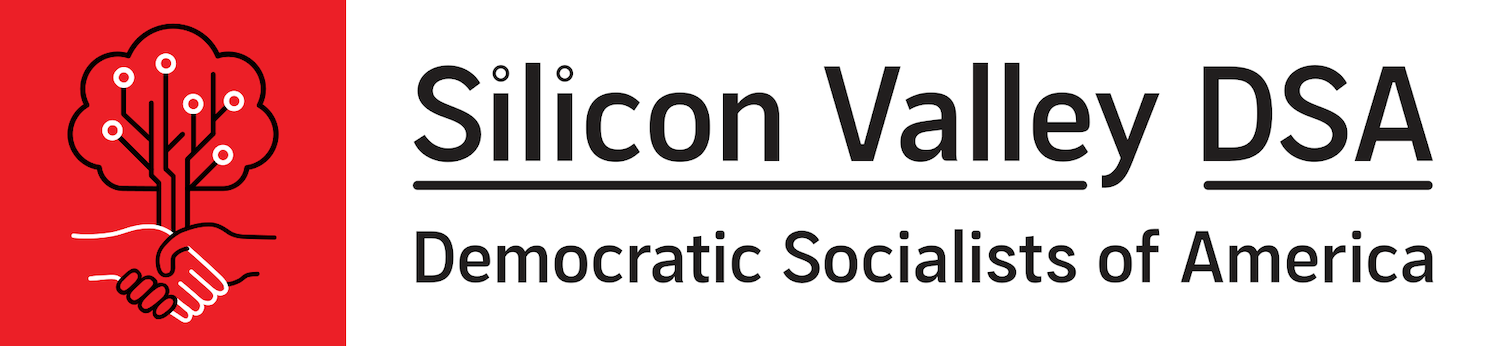 Silicon Valley DSA Logo