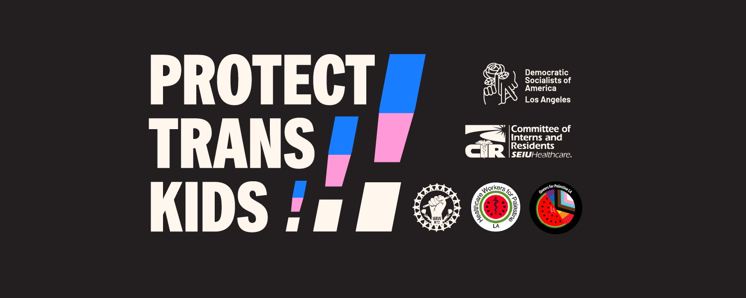 pink, blue, and purple protect trans kids banner