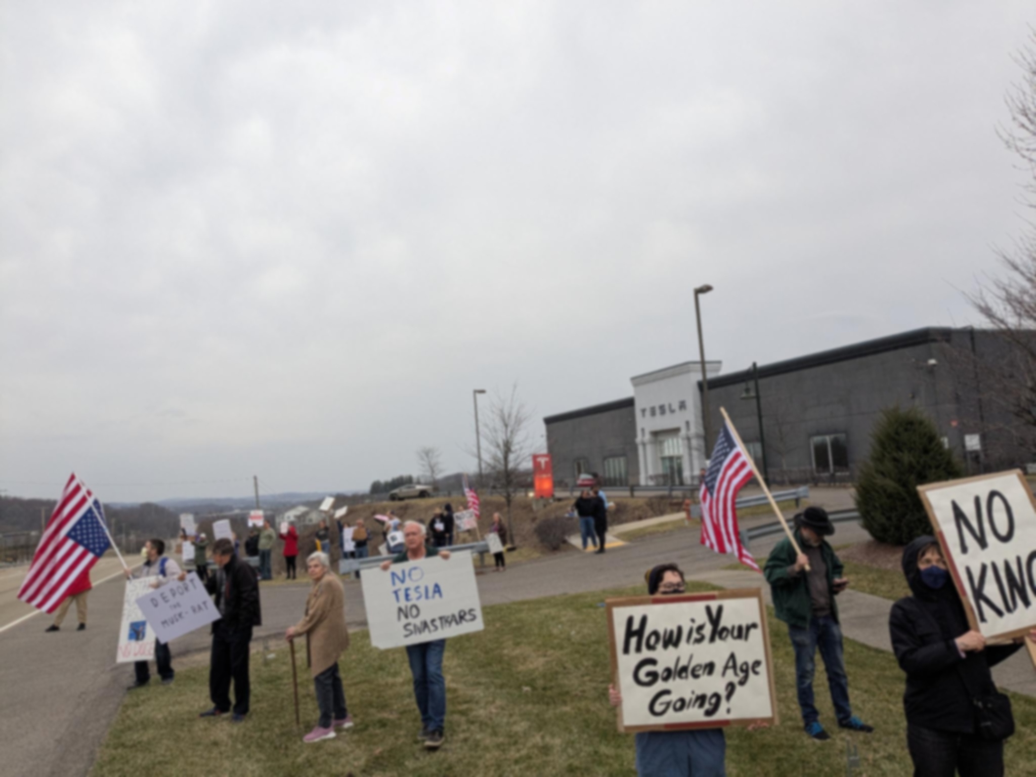 About twenty protesters with signs, beside the road in front of a Tesla dealership.