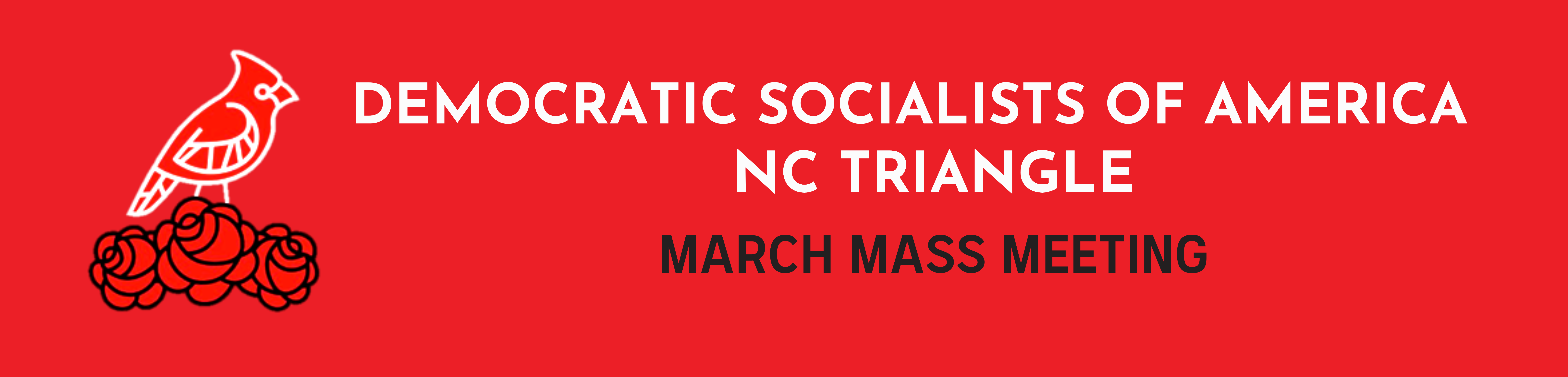 Triangle DSA March Mass Meeting: Sign-In Sheet - Action Network