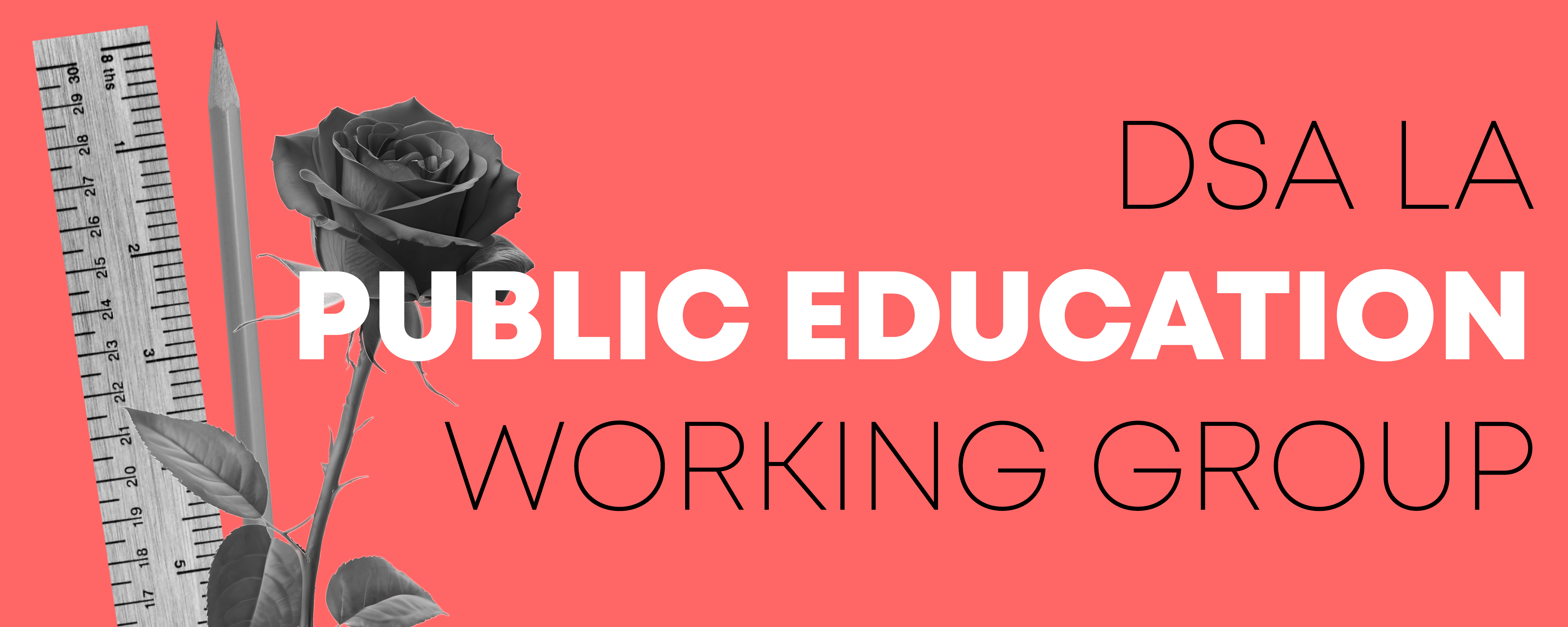 Text says DSA LA Public Education Working Group with a picture of a rose, a pencil and a ruler