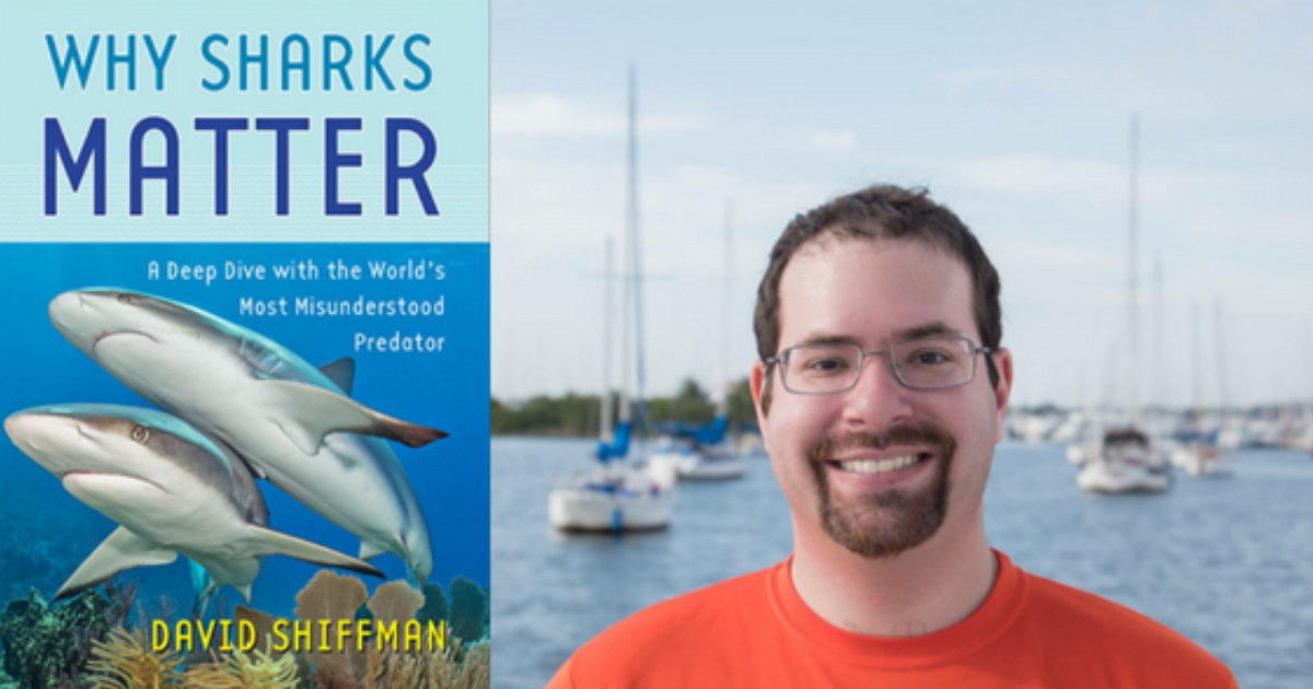 An image of the scientist and a photo of his book, why sharks matter