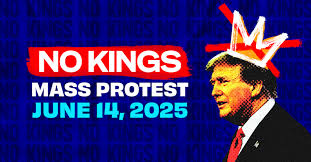 Tesla Takedown Arlington Virginia 