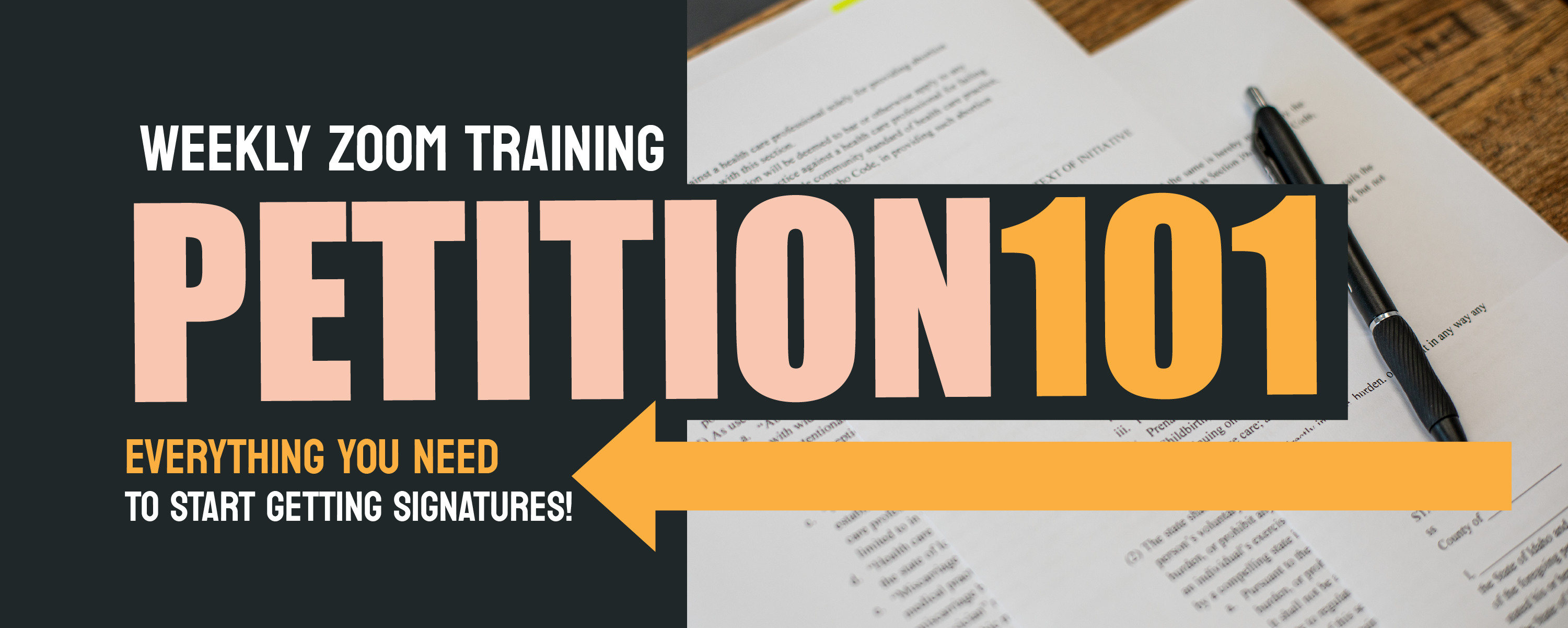 Weekly Petitioning 101 Virtual Training