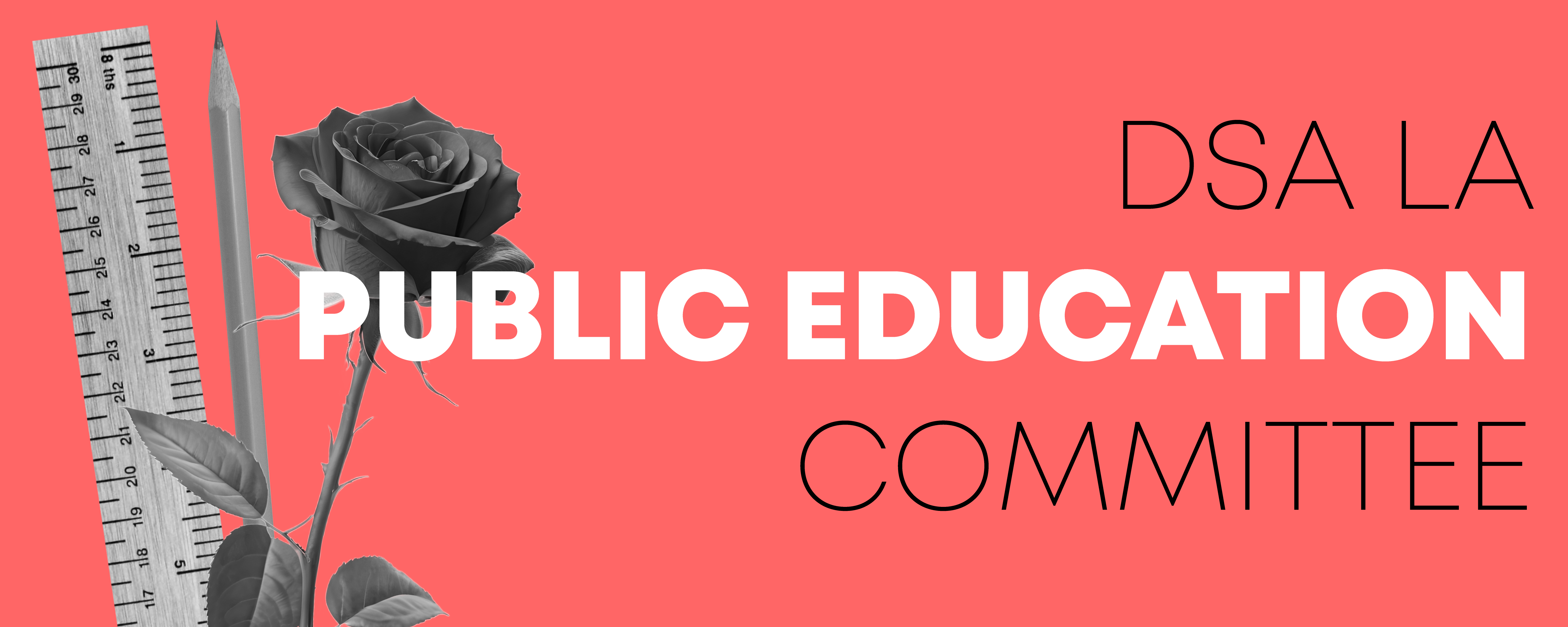 Text says DSA LA Public Education Committee with a picture of a rose, a pencil and a ruler