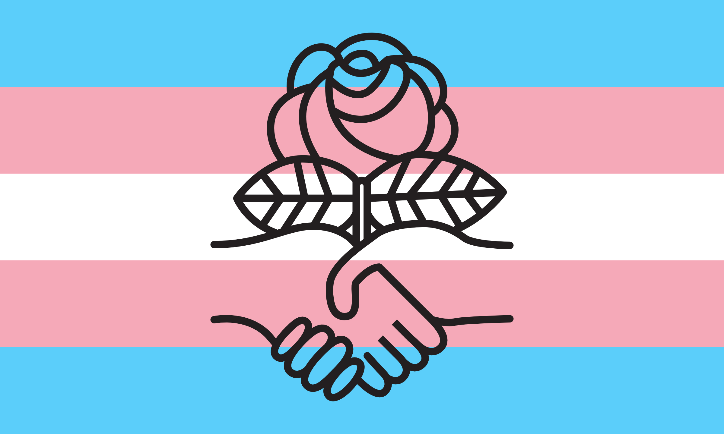 Transgender pride flag with DSA logo in the middle