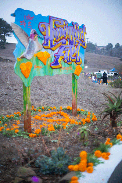 A colorful sign in a field that says Hummingbird Farm