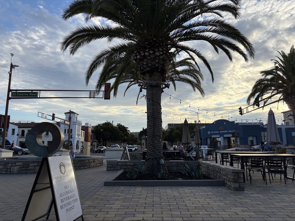 Viewing westward from the downtown San Carlos Caltrain station: El Camino Real, a palm tree & San Carlos Avenue