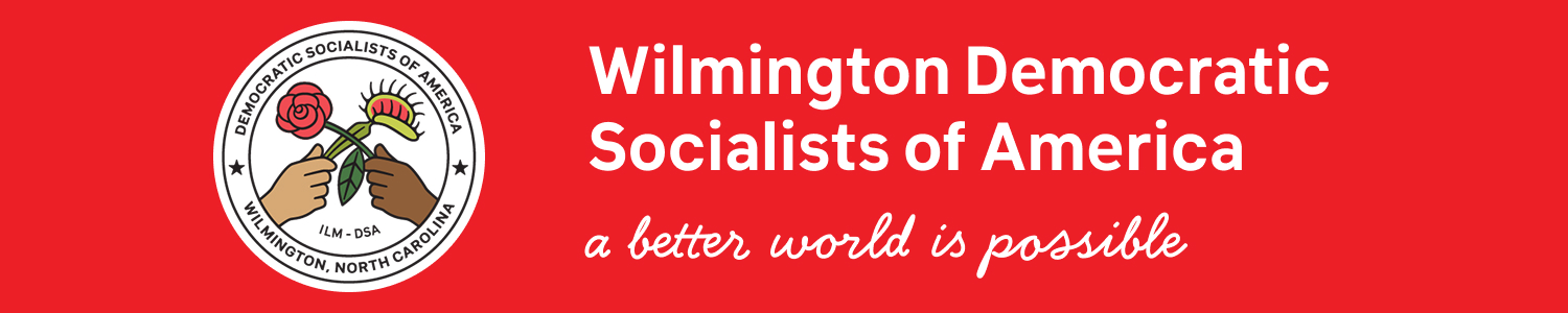 Wilmington DSA chapter logo