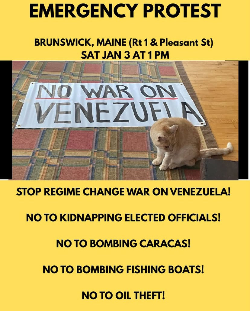 A yellow flyer announcing an "EMERGENCY PROTEST" against war on Venezuela, featuring a photo of a cat sitting next to a banner that reads "NO WAR ON VENEZUELA".