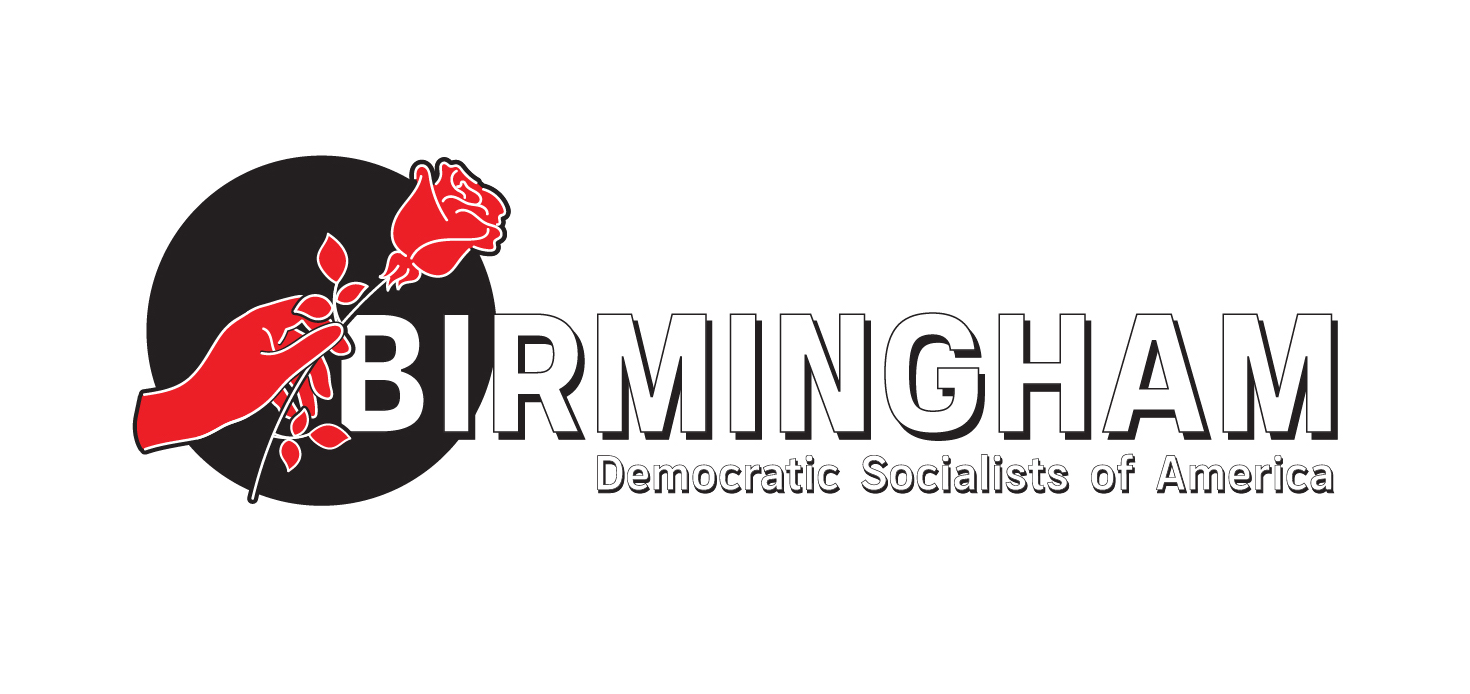The Birmingham DSA logo, horizontal.