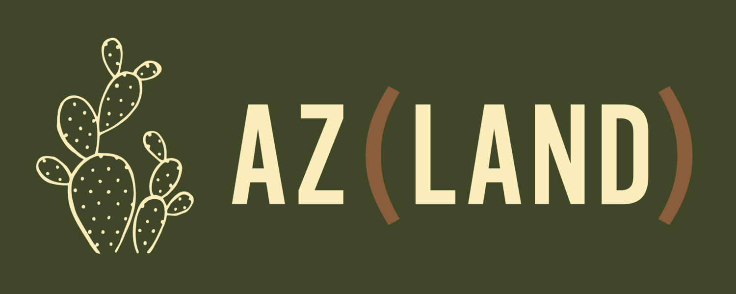 TierrArte-SciDance Infrastructural Development - Action Network