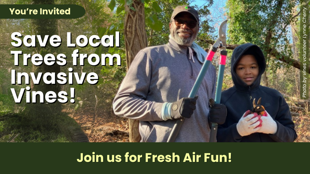 Invasive Vine Removal at Hillcrest Park - Action Network