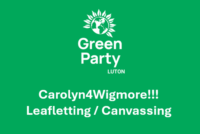 Carolyn 4 Wigmore - leafletting canvassing