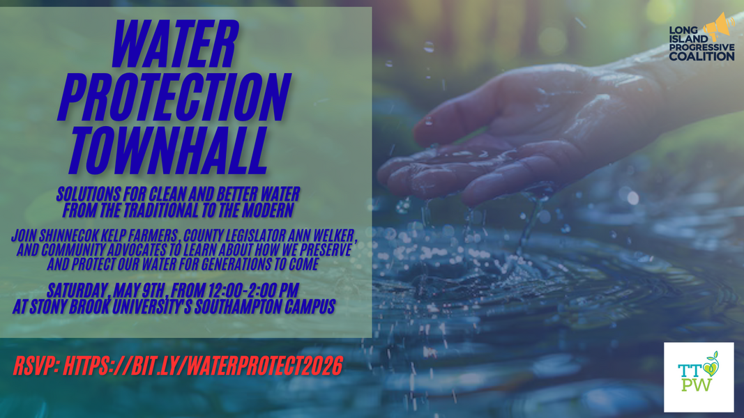Water Protection 4 Water Protection - From the Traditional to the Modern - Action Network