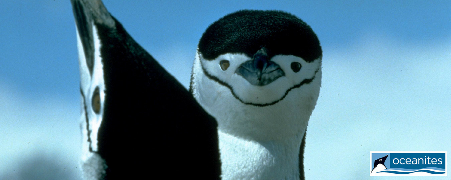 Oceanites_email_list_sign_up_imge