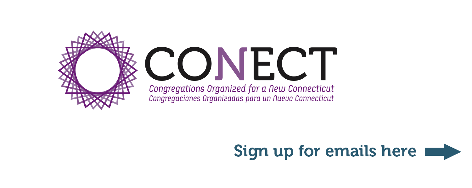 Conect_logo_banner