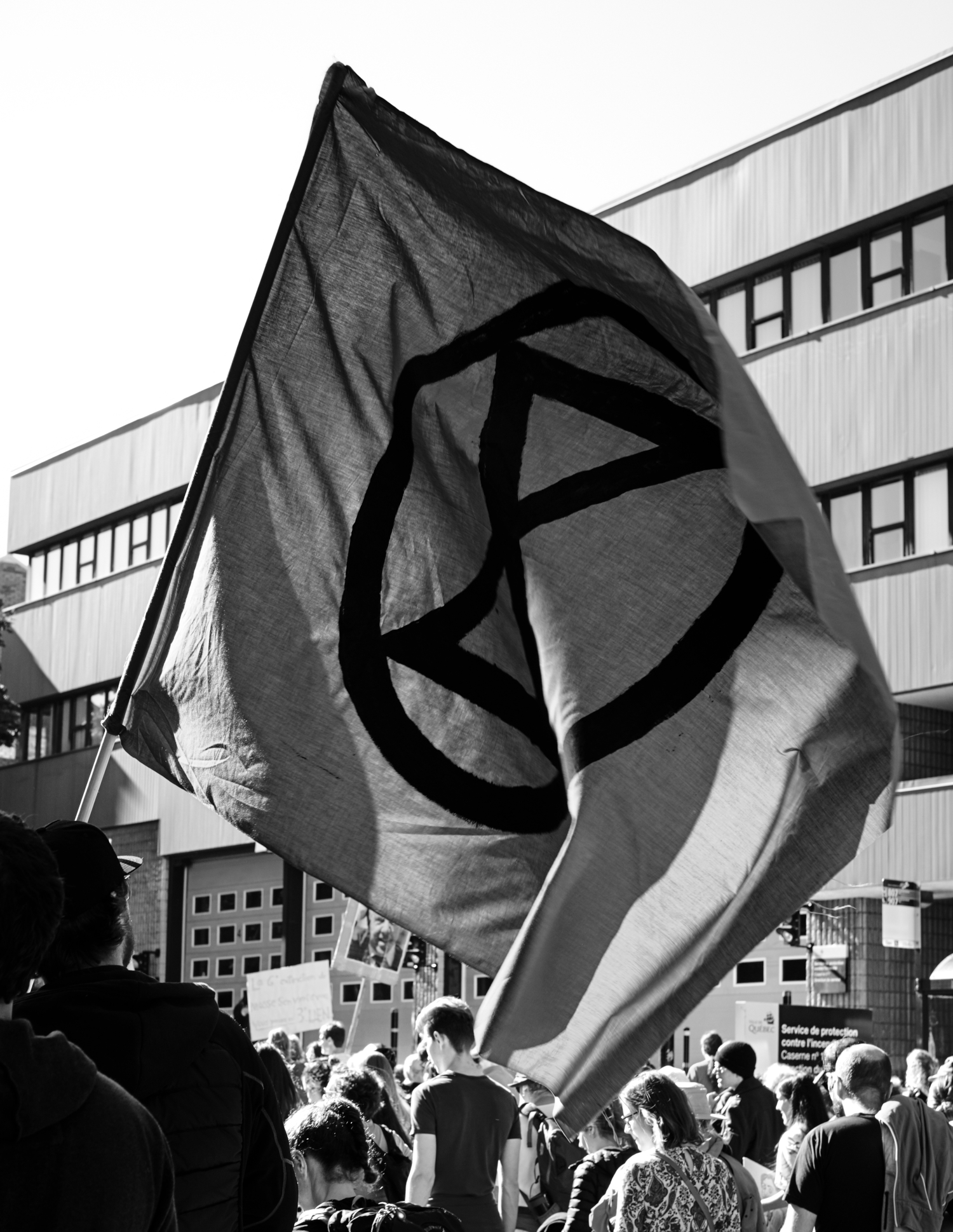 Drapeau_noir