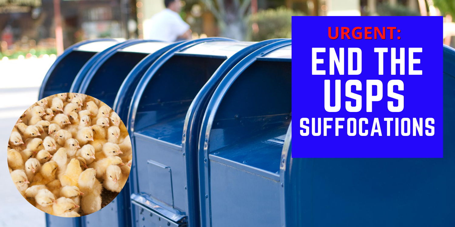 Urgent Petition End the Live Animal Shipments Action Network