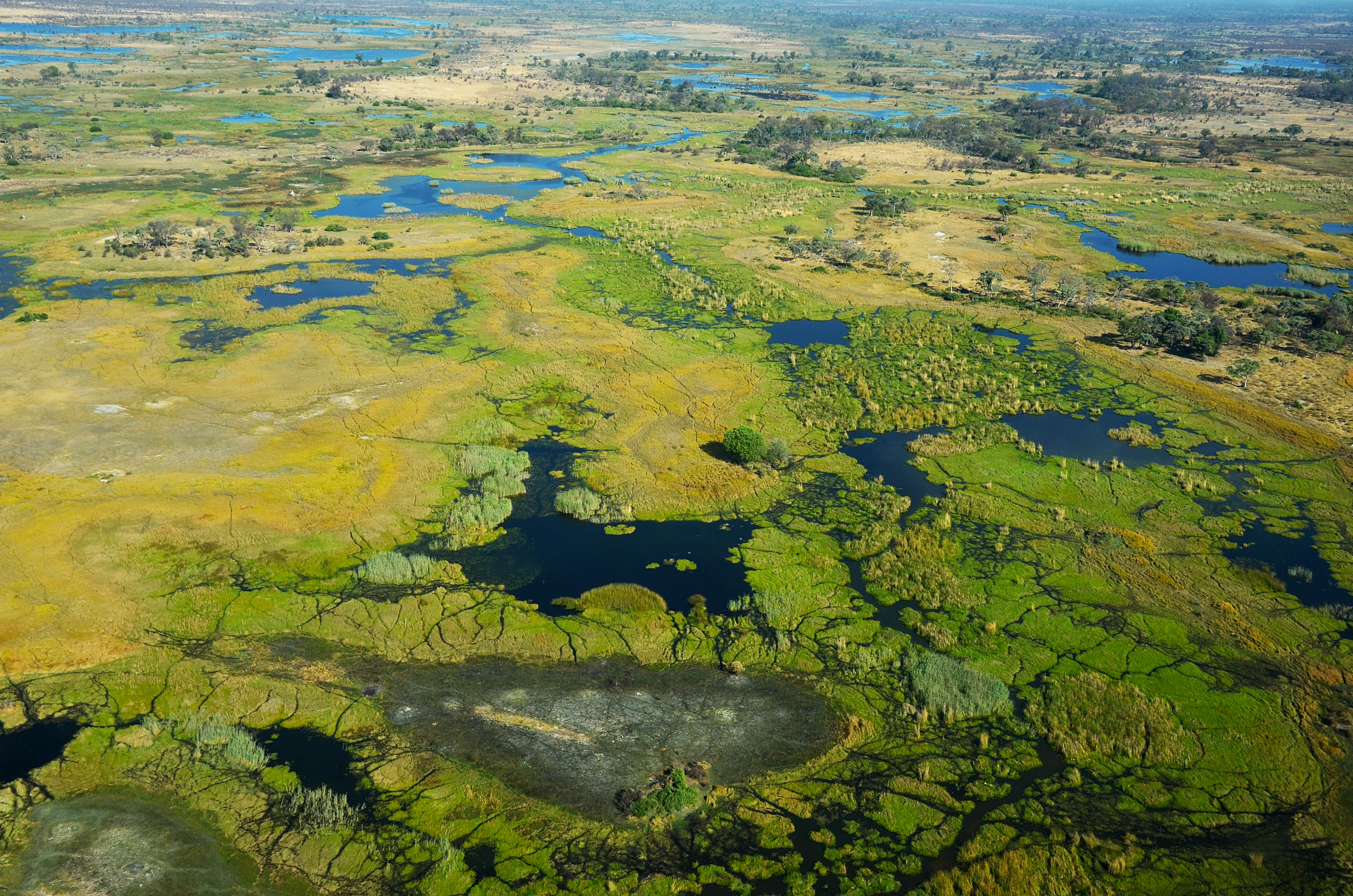 Okavango_delta_pavel_%c5%a0pindler_creative_commons