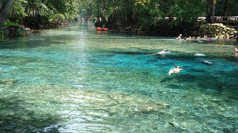 Ginnie Springs (Photo by (WT-de) Mistoffeles via Wikimedia Commons)