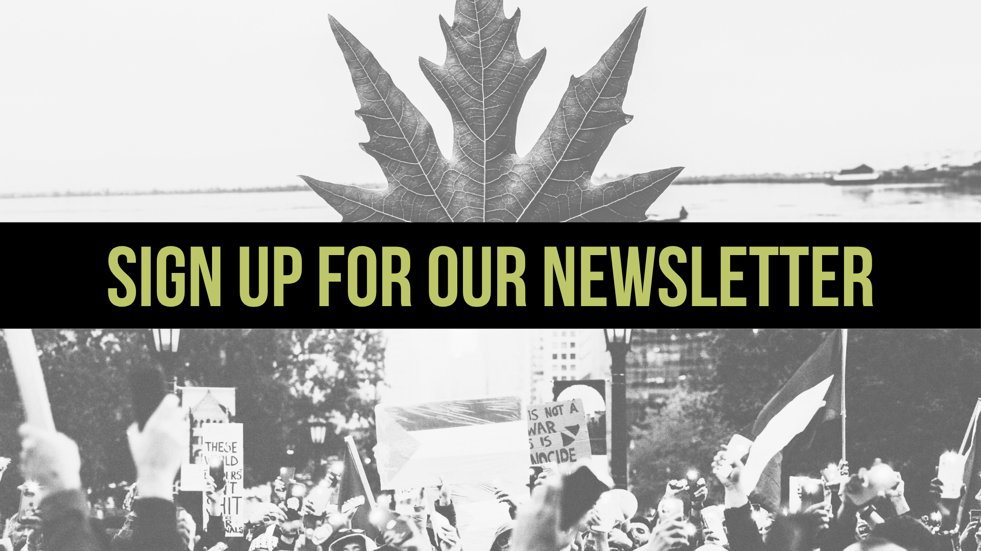 Black background with a photo of a chinar leaf at the top (representing Kashmir) and a protest at the bottom (with signs and flags for Palestine). Green text in the centre reads: Sign up for our newsletter