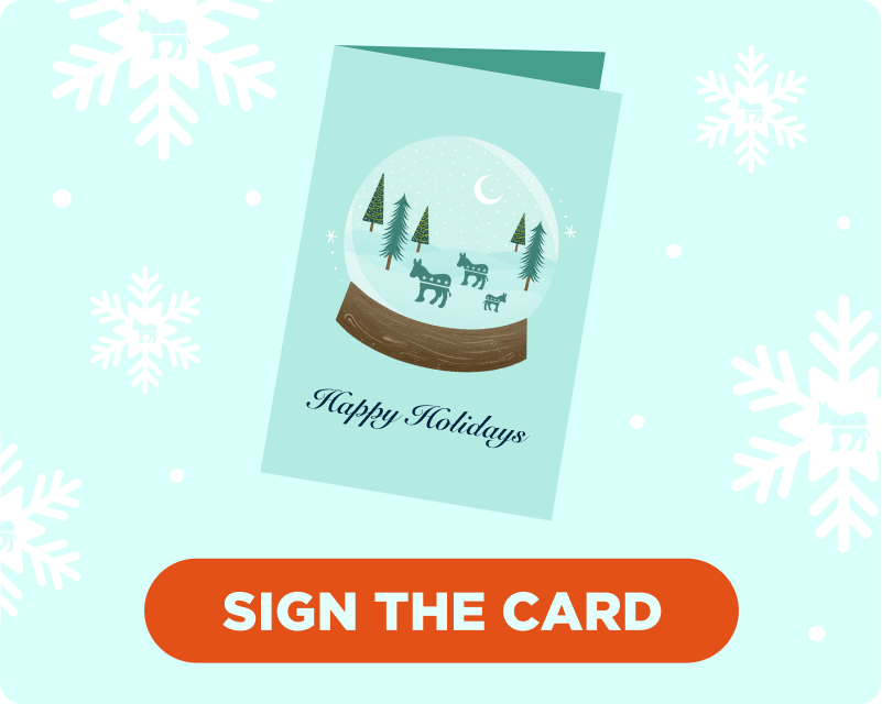 Wish President Biden and Vice President Harris a happy holiday season!