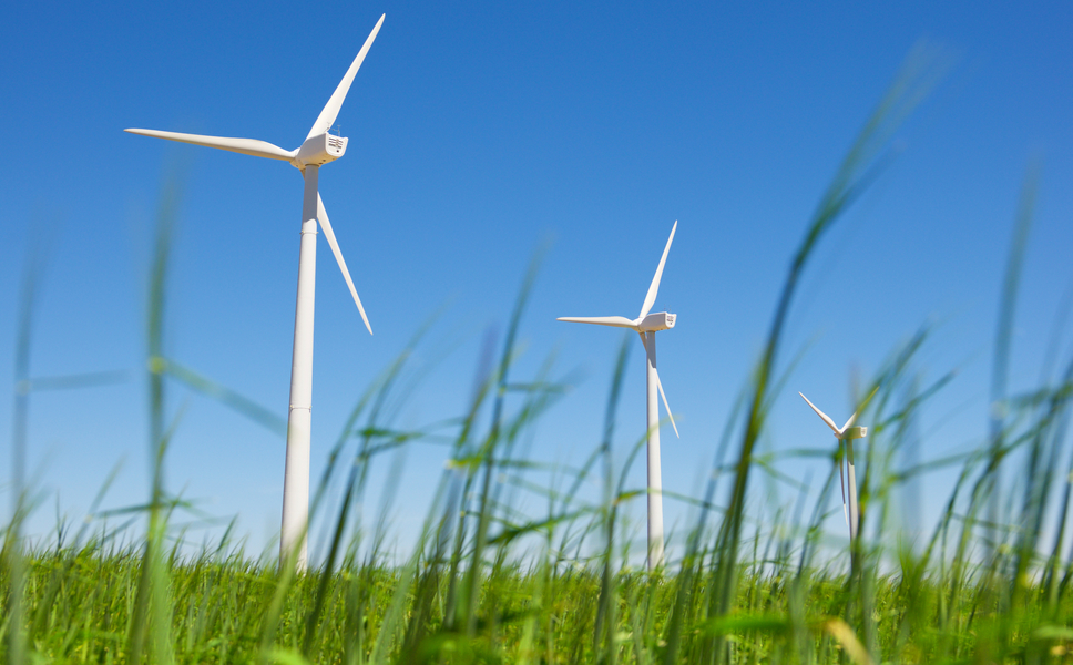 Join our Supporter Coalition for Salt Creek Wind