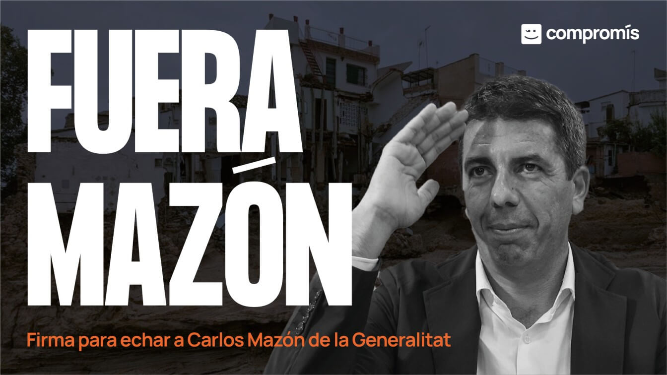 Mazón dimisión