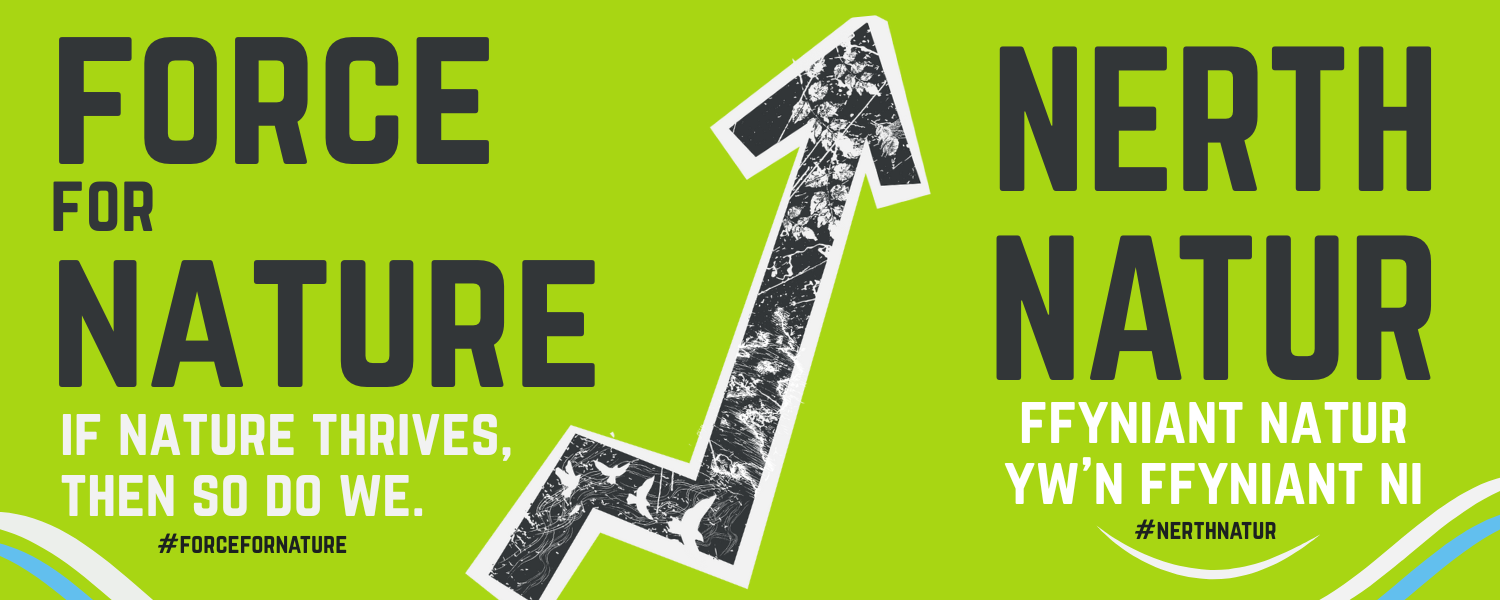 Force for Nature // Nerth Natur text in black on a green background banner an image of a large arrow splits the text through the centre with nature motifs within it