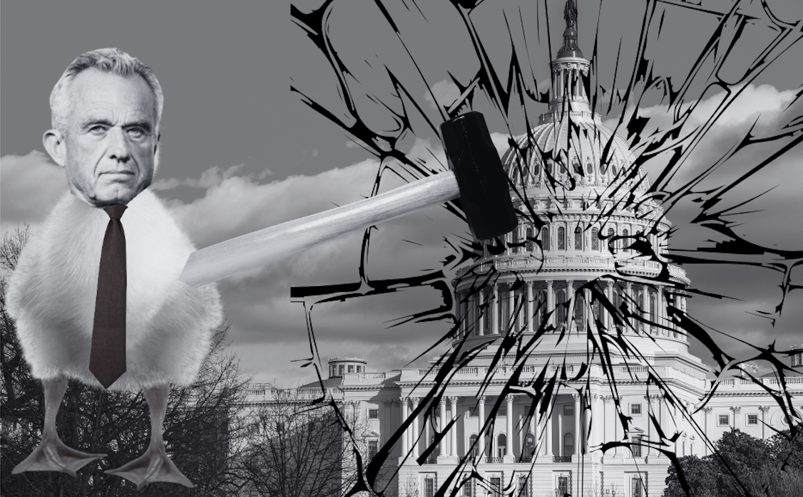 RFK Jr's head on the body of a duck with sledgehammer descending on Congress