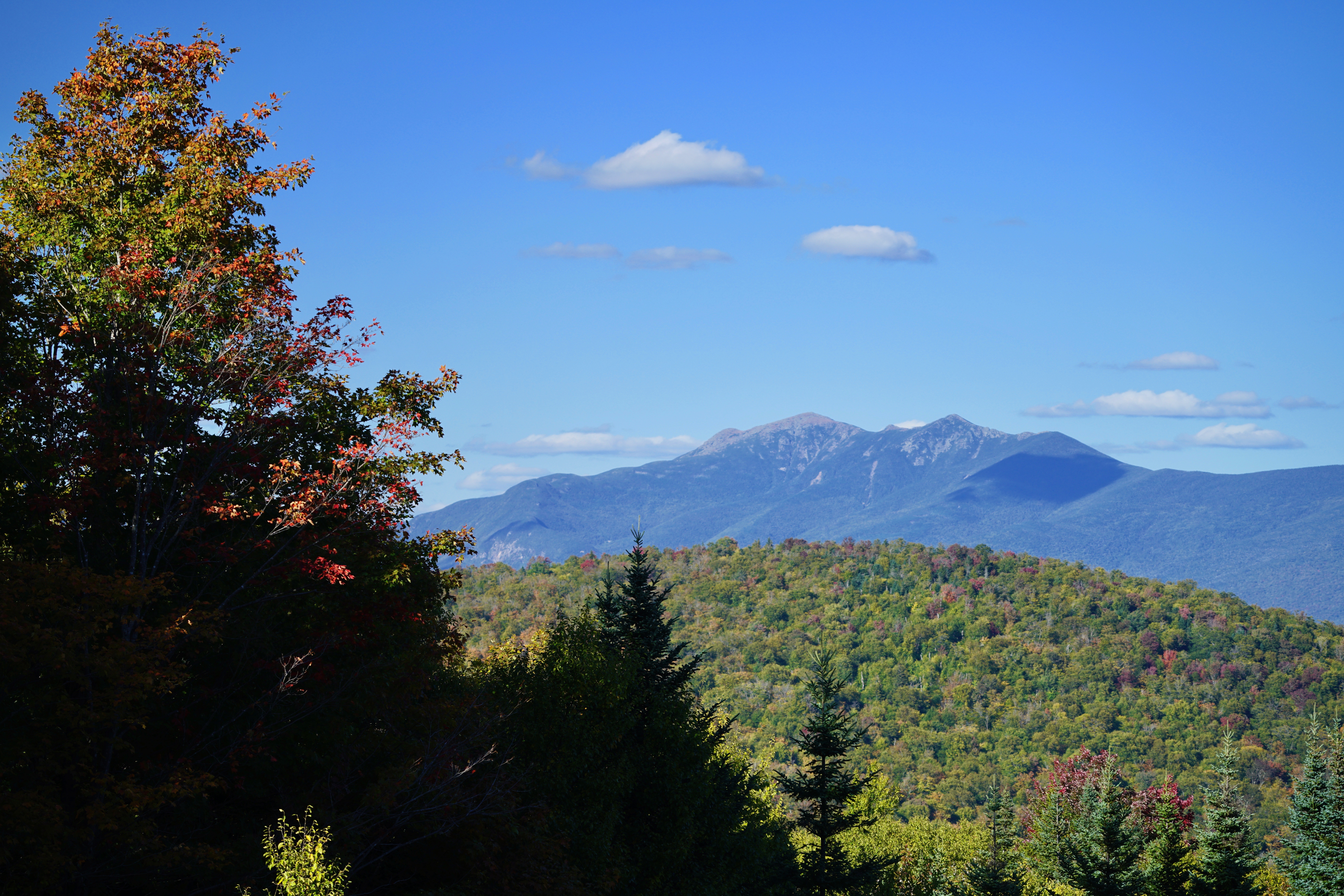 The Franconia Ridge Roadless Area, as viewed from the North Carr Roadless Area