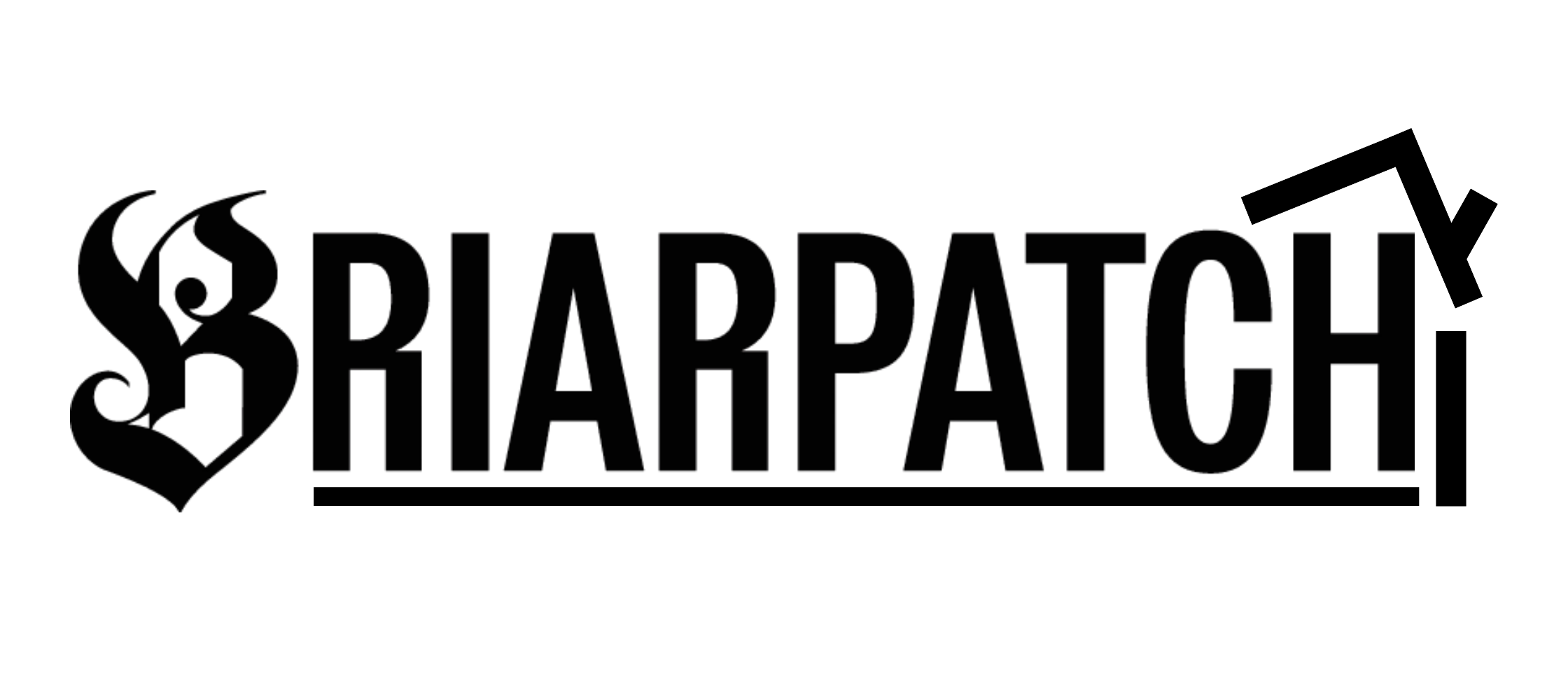 The Briarpatch Housing Special logo.