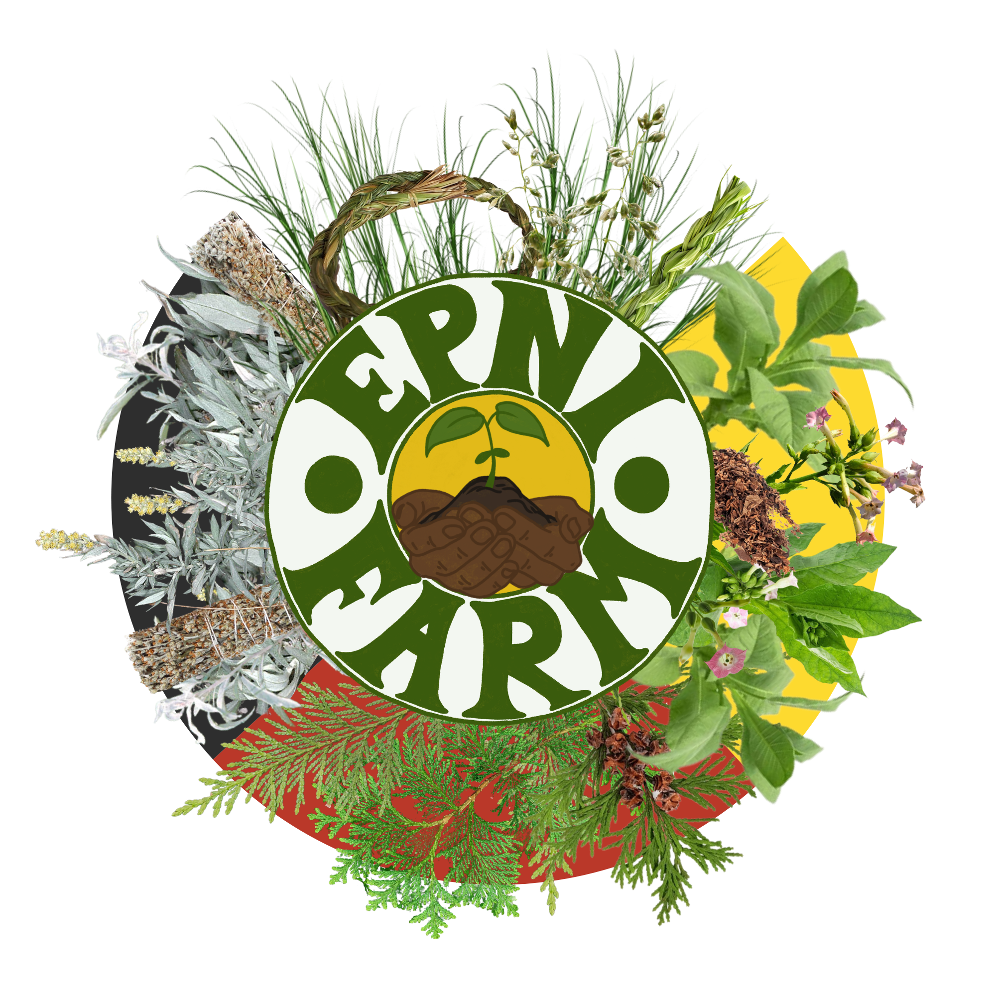 EPNI Farm Logo with the Medicine Wheel and drawings of herbal medicine around it.