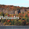 Protectpalisades