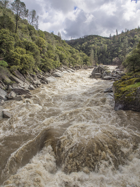 Yuba_rush_color
