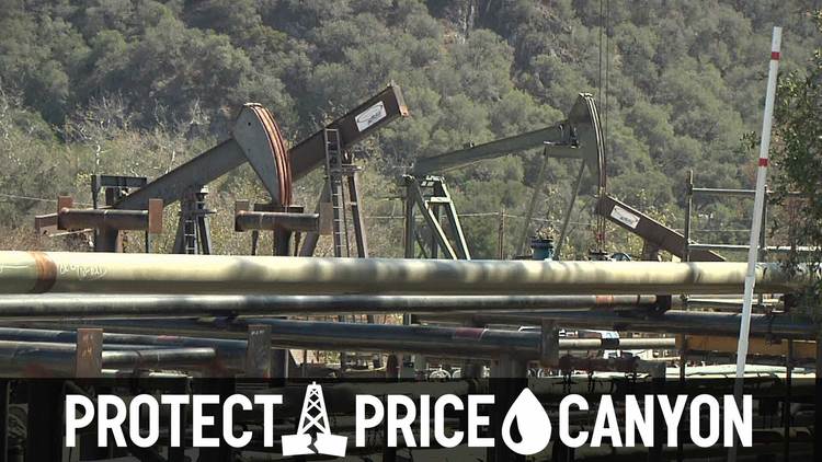 Protect-price-canyon-banner